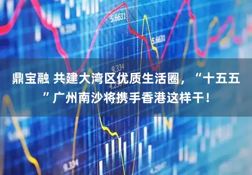 鼎宝融 共建大湾区优质生活圈，“十五五”广州南沙将携手香港这样干！